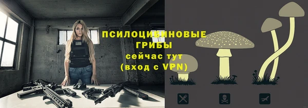 первитин Белокуриха